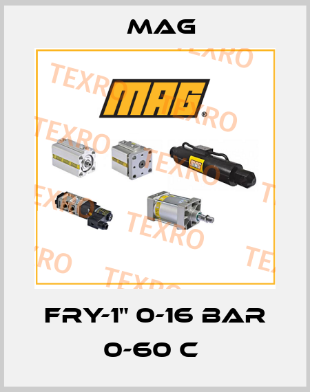 FRY-1" 0-16 BAR 0-60 C  Mag