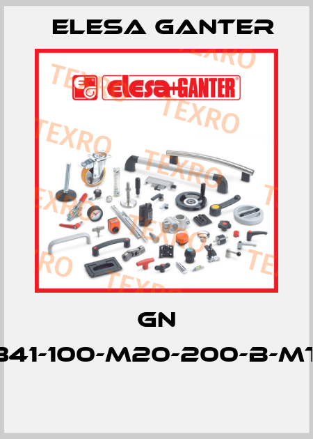 GN 341-100-M20-200-B-MT  Elesa Ganter