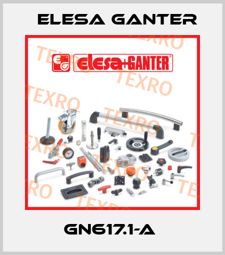 GN617.1-A  Elesa Ganter
