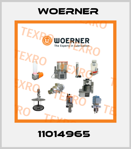 11014965  Woerner