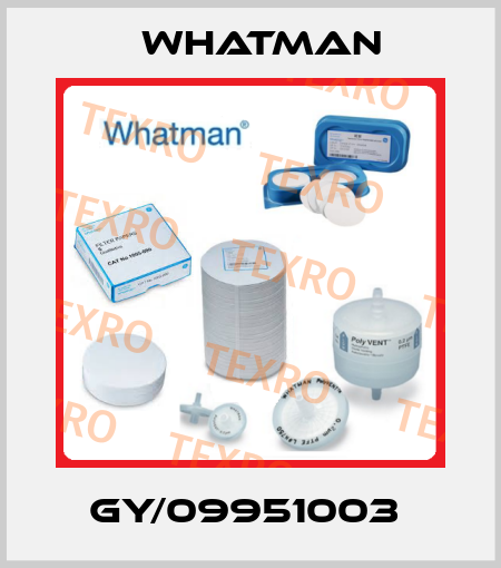 GY/09951003  Whatman