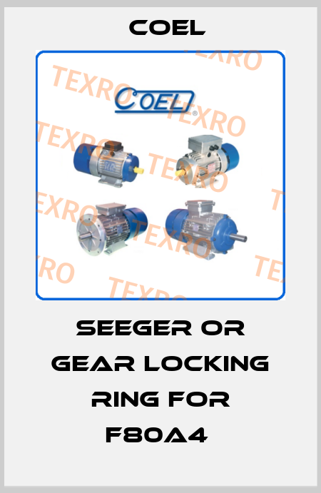 Seeger or gear locking ring for F80A4  Coel