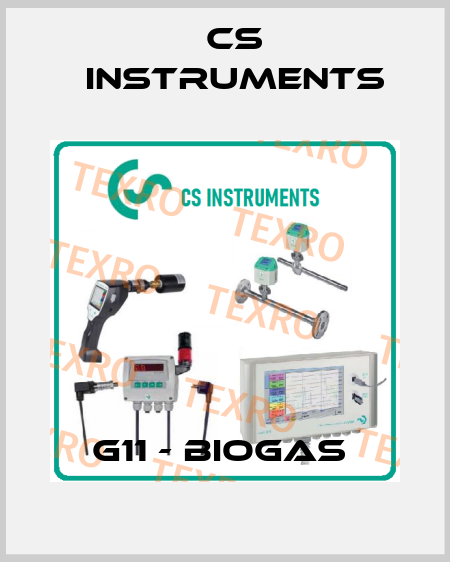 G11 - Biogas  Cs Instruments