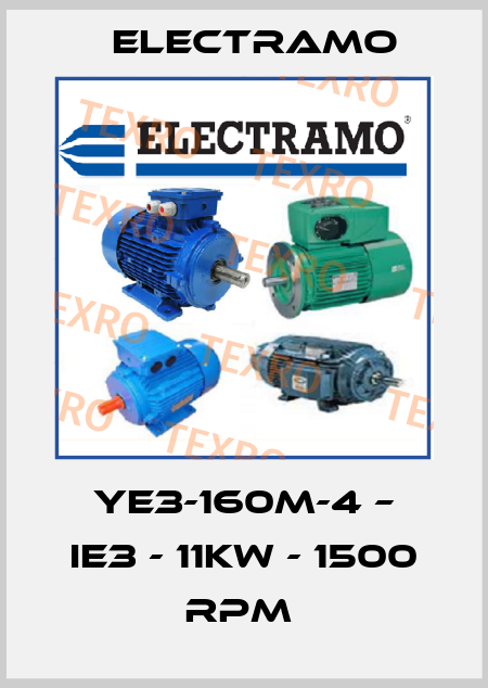 YE3-160M-4 – IE3 - 11kW - 1500 rpm  Electramo