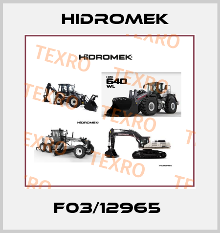 F03/12965  Hidromek
