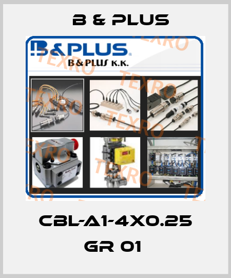 CBL-A1-4X0.25 GR 01  B & PLUS
