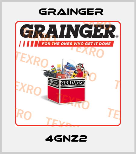 4GNZ2  Grainger