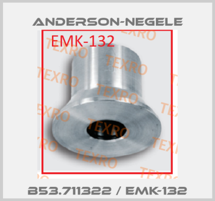 B53.711322 / EMK-132 Anderson-Negele