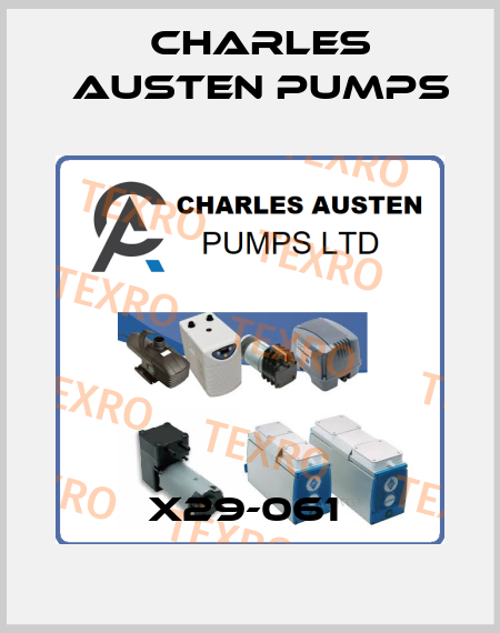 X29-061  Charles Austen Pumps