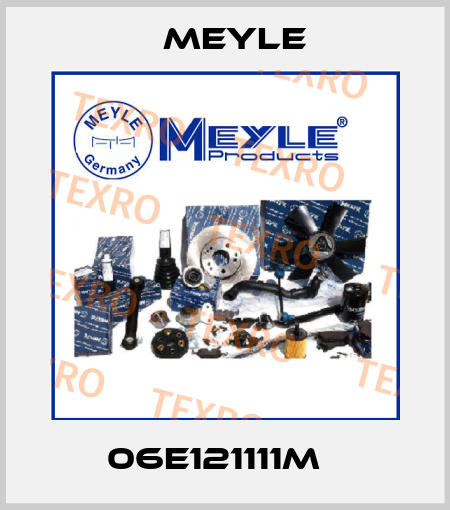 06E121111M   Meyle
