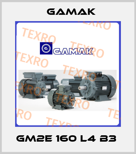 GM2E 160 L4 B3  Gamak