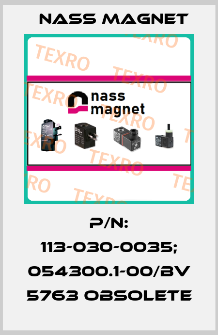 p/n: 113-030-0035; 054300.1-00/BV 5763 obsolete Nass Magnet
