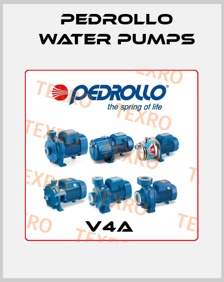 V4A  Pedrollo Water Pumps