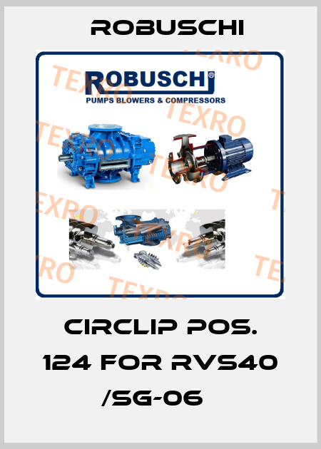 Circlip pos. 124 for RVS40 /SG-06   Robuschi
