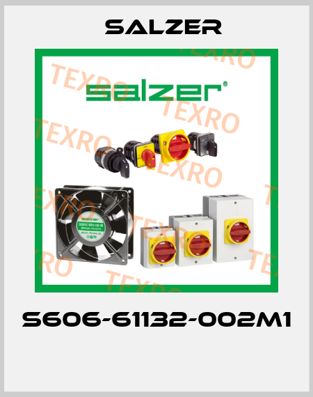 S606-61132-002M1  Salzer