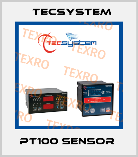 PT100 Sensor  Tecsystem