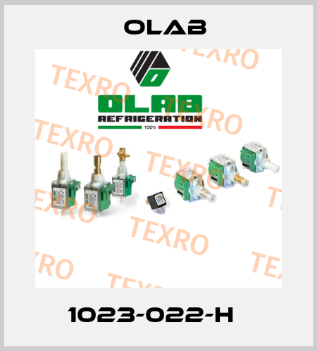  1023-022-H   Olab