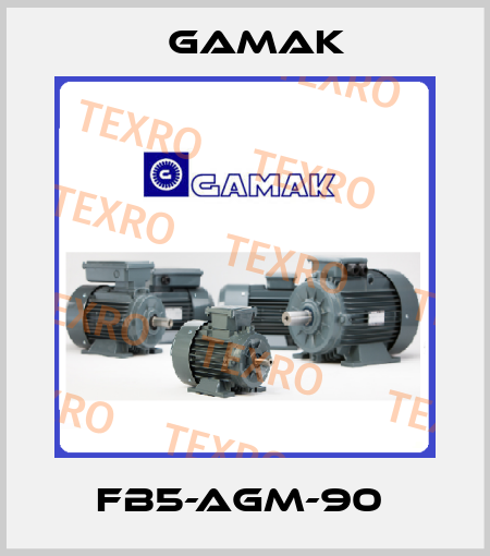 FB5-AGM-90  Gamak