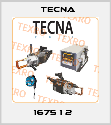 1675 1 2   Tecna