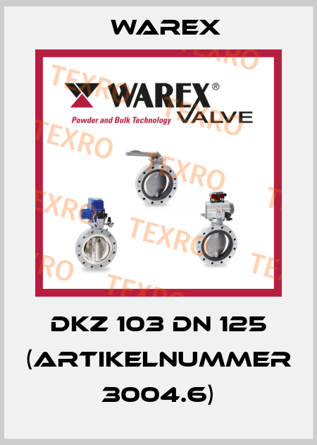 DKZ 103 DN 125 (Artikelnummer 3004.6) Warex