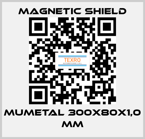 MuMETAL 300x80x1,0 mm Magnetic Shield