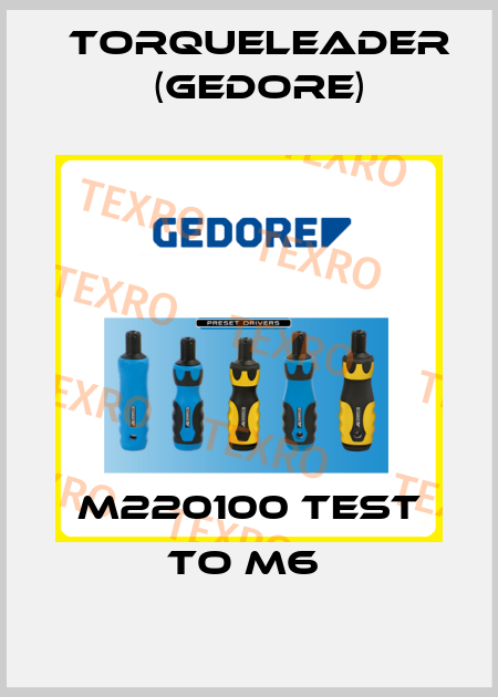 M220100 TEST TO M6  Torqueleader (Gedore)