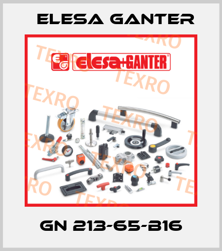 GN 213-65-B16 Elesa Ganter