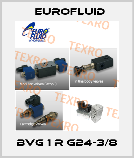 BVG 1 R G24-3/8 Eurofluid
