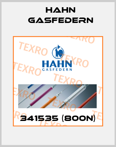 341535 (800N) Hahn Gasfedern