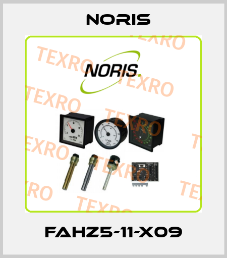FAHZ5-11-X09 Noris