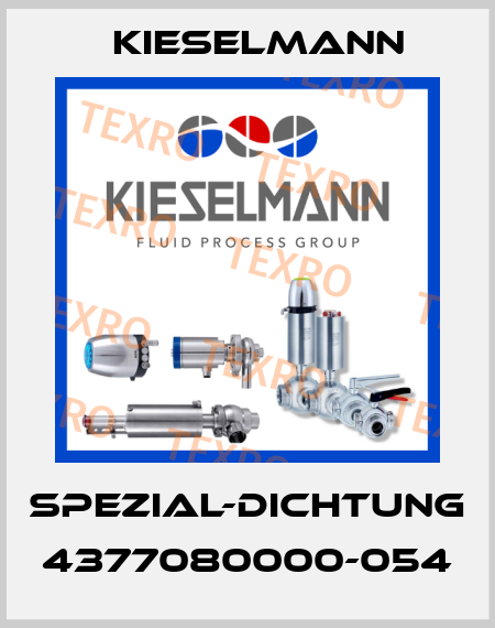 Spezial-Dichtung 4377080000-054 Kieselmann