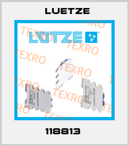 118813  Luetze