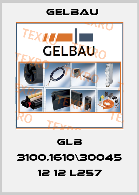 GLB 3100.1610\30045 12 12 L257 Gelbau