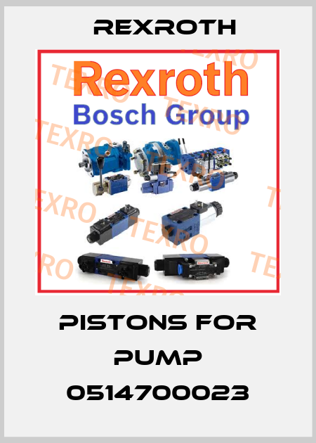 Pistons for pump 0514700023 Rexroth