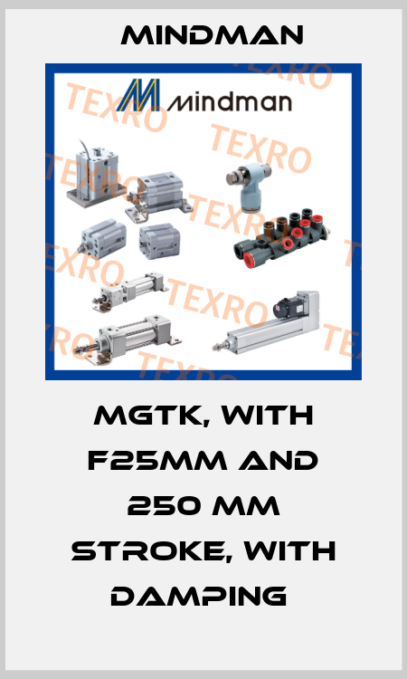 MGTK, WITH F25MM AND 250 MM STROKE, WITH DAMPING  Mindman
