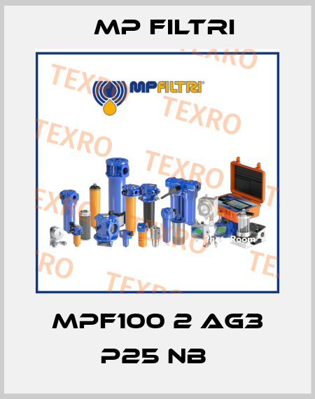 MPF100 2 AG3 P25 NB  MP Filtri
