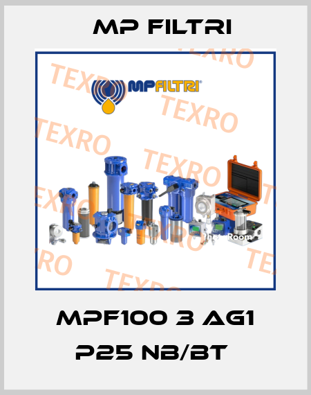 MPF100 3 AG1 P25 NB/BT  MP Filtri