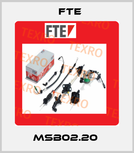 MSB02.20  FTE
