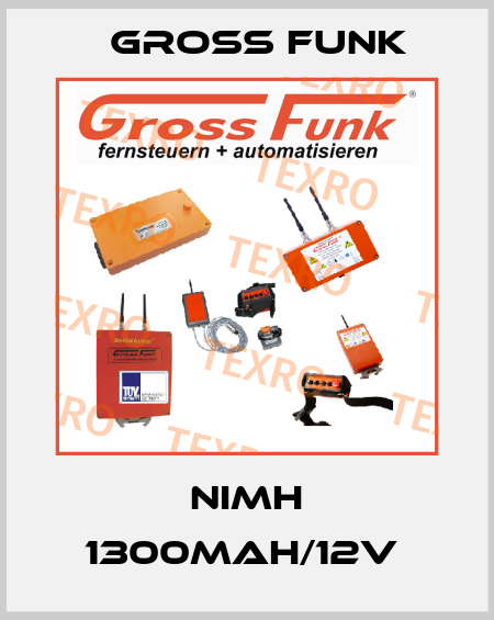 NIMH 1300MAH/12V  Gross Funk