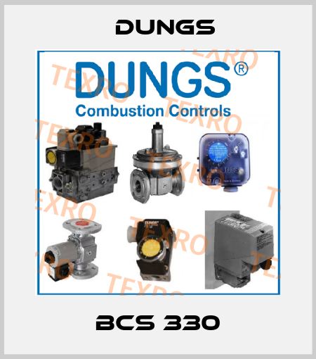 BCS 330 Dungs
