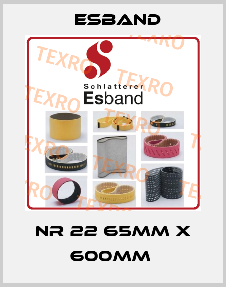 NR 22 65MM X 600MM  Esband