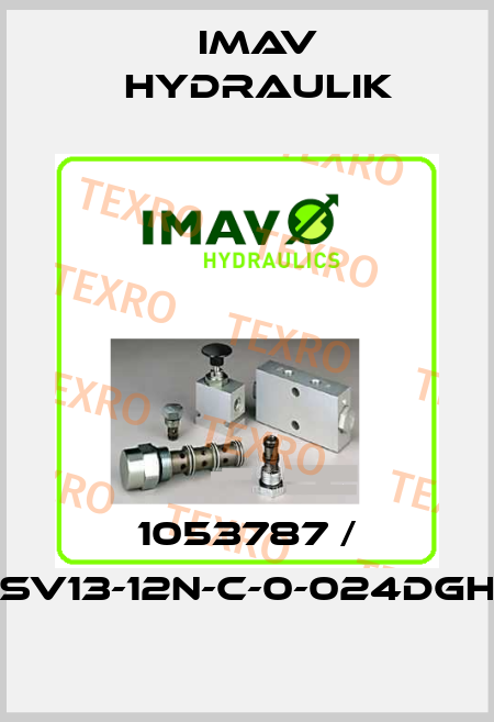 1053787 / SV13-12N-C-0-024DGH IMAV Hydraulik