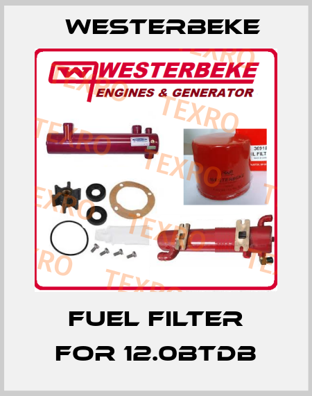 Fuel filter for 12.0BTDB Westerbeke