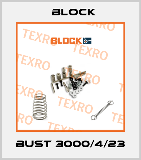 BUST 3000/4/23 Block
