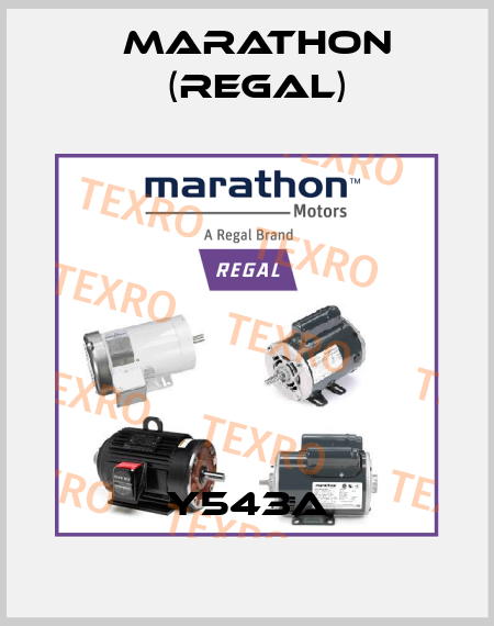 Y543A Marathon (Regal)