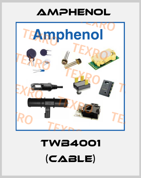 TWB4001 (cable) Amphenol