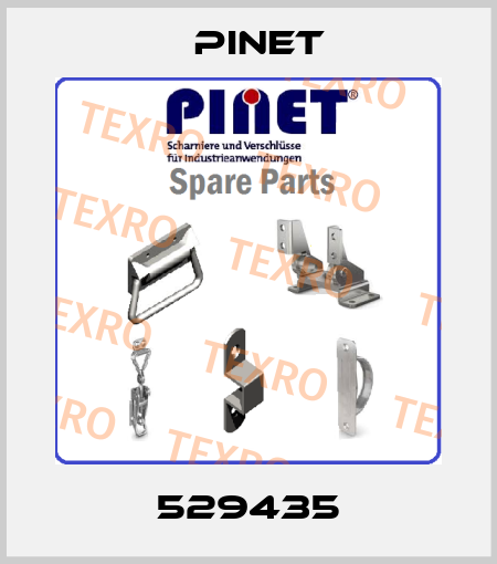 529435 Pinet