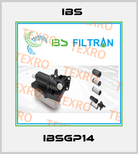 IBSGP14 Ibs