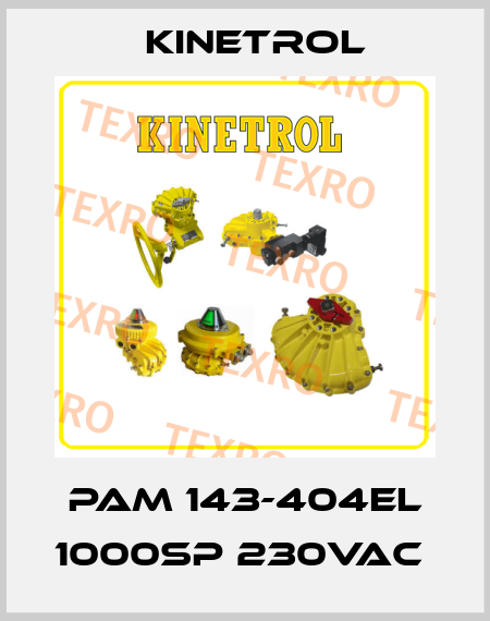 PAM 143-404EL 1000SP 230VAC  Kinetrol