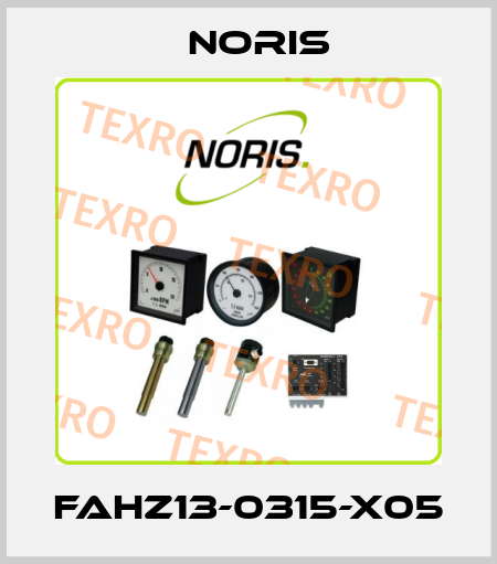 FAHZ13-0315-X05 Noris